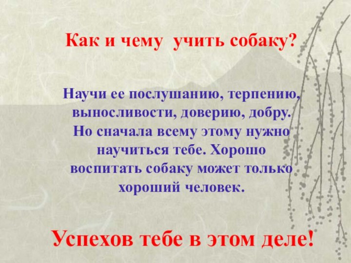 Как и чему учить собаку?Научи ее послушанию, терпению, выносливости, доверию, добру. Но