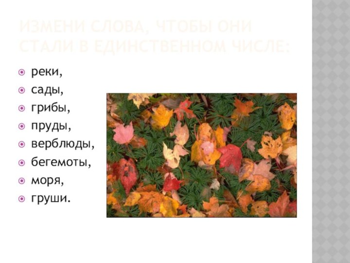 Измени слова, чтобы они стали в единственном числе:реки,сады,грибы,пруды,верблюды,бегемоты,моря,груши.