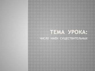 Число имен существительных. презентация к уроку по русскому языку (2 класс) по теме