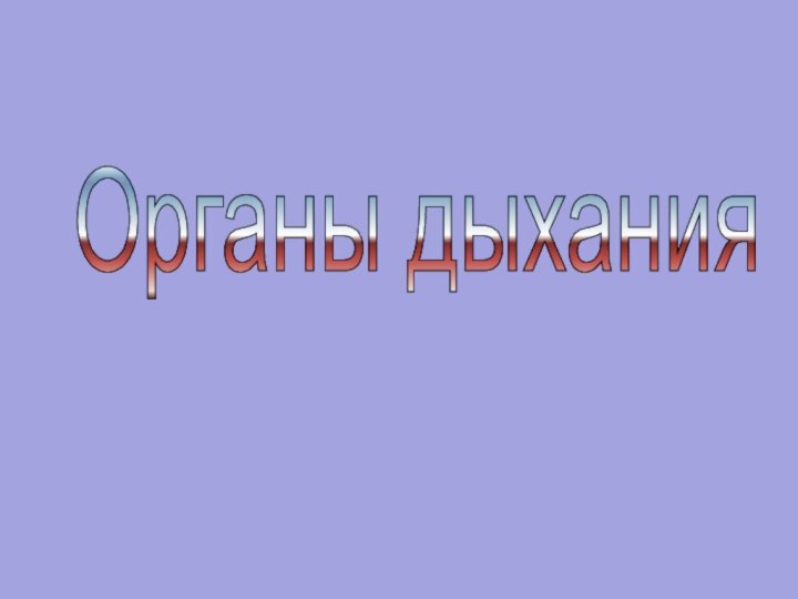 Органы дыхания