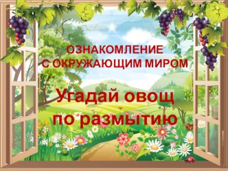 Презентация Угадай овощ по размытию презентация урока для интерактивной доски по окружающему миру (средняя, старшая, подготовительная группа)