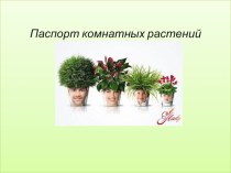 Презентация: Паспорт комнатных растений. презентация по окружающему миру по теме