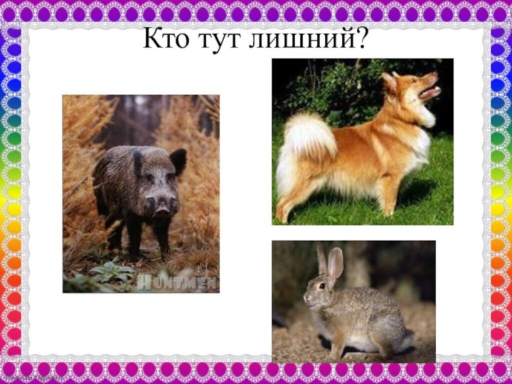 Кто тут лишний?