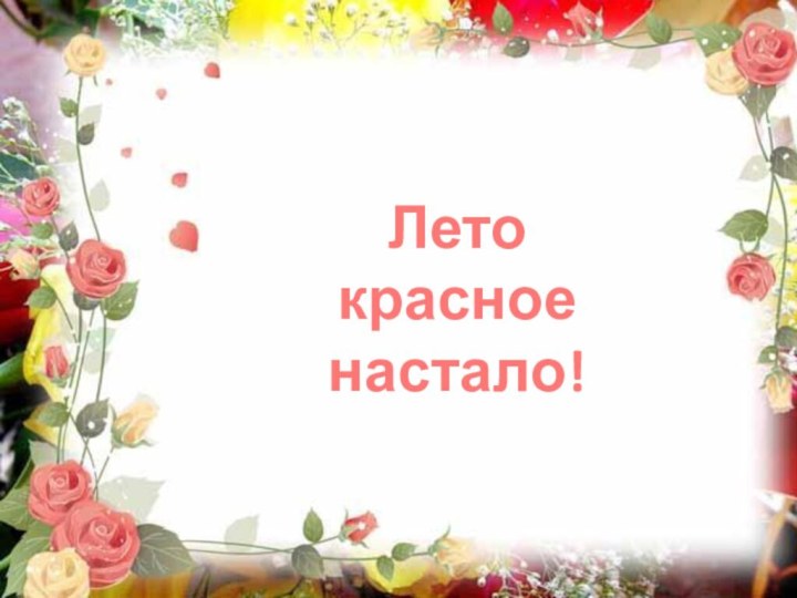 Лето красноенастало!