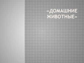 Презентация Домашние животные презентация к уроку по развитию речи (старшая группа)