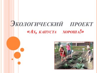 мини проект Ах,капуста хороша!