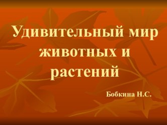 Удивительный мир животных и растений презентация к уроку по окружающему миру (подготовительная группа)