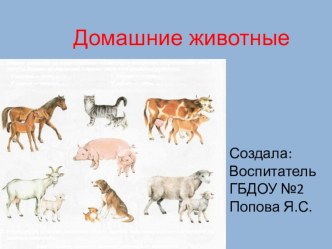 Методическая разработка по формированию целостной картины мира детей младшего дошкольного возраста Домашние животные. методическая разработка (младшая группа) по теме