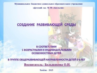 Создание развивающей среды методическая разработка (старшая группа)