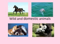 презентация к уроку Wild and domestic animals презентация к уроку по иностранному языку (4 класс)