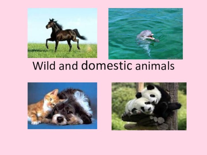 Wild and domestic animals