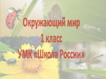 Презентация к уроку окружающего мира в 1 классе презентация к уроку по окружающему миру (1 класс)