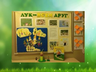 Проект Лук - всем друг. проект (подготовительная группа)