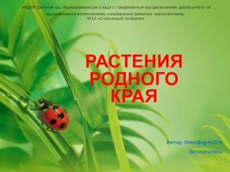 Растения родного края презентация к уроку по окружающему миру (средняя, старшая, подготовительная группа)