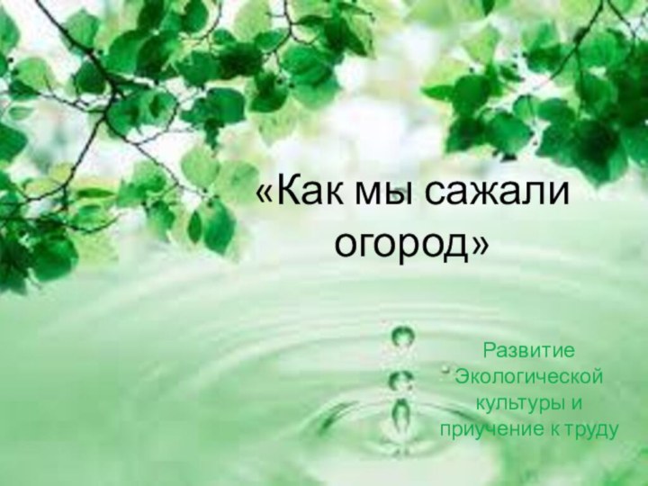 «Как мы сажали огород»Развитие Экологической культуры и приучение к труду