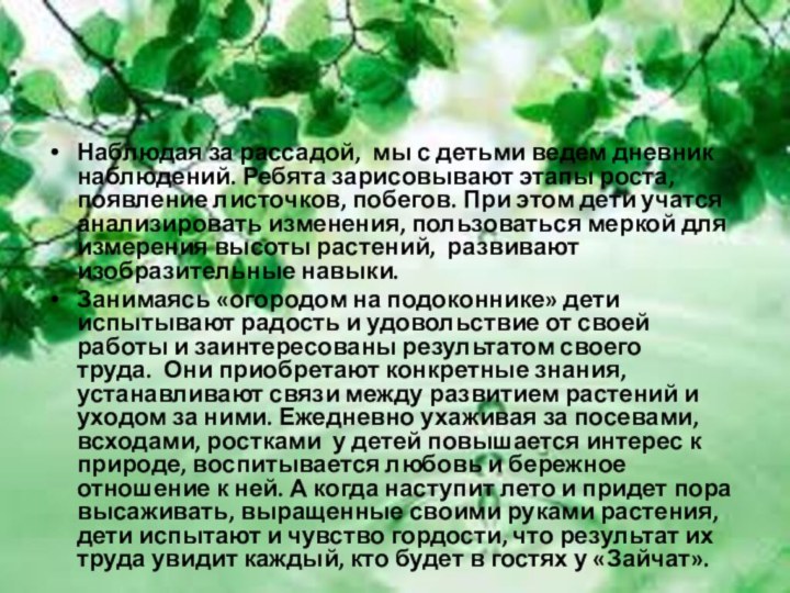 Наблюдая за рассадой,  мы с детьми ведем дневник наблюдений. Ребята зарисовывают этапы