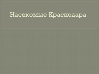 Презентация для малышей Насекомые презентация урока для интерактивной доски по окружающему миру (младшая группа)