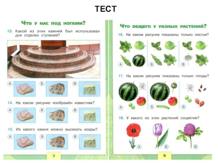 ТЕСТ