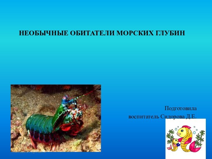 НЕОБЫЧНЫЕ ОБИТАТЕЛИ МОРСКИХ ГЛУБИНПодготовила воспитатель Сидорова Д.Е.FokinaLida.75@mail.ru