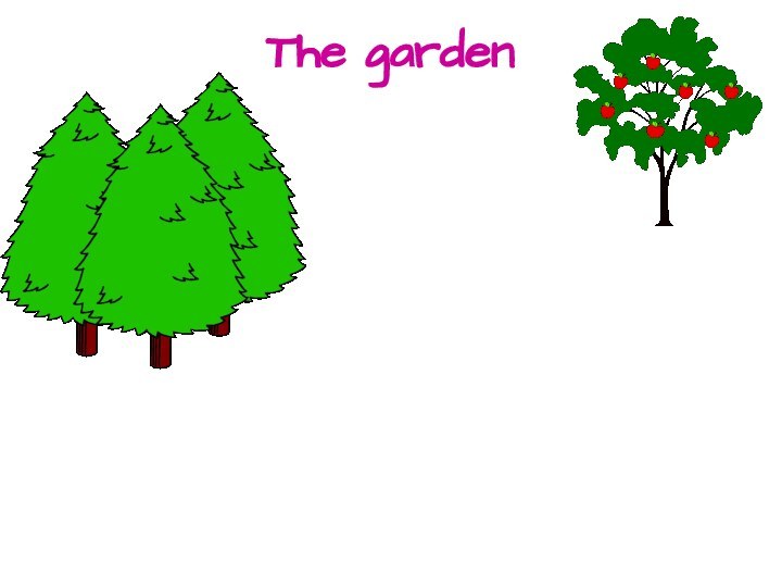 The garden