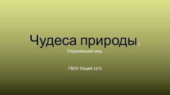 Чудеса природы . презентация к уроку по окружающему миру (1 класс)