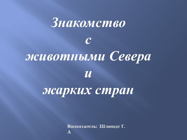 Знакомство с животными Севера и жарких стран Воспитатель: Шлюндт Г.А