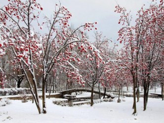 Конспекты занятий в подготовительной группе план-конспект занятия (подготовительная группа)