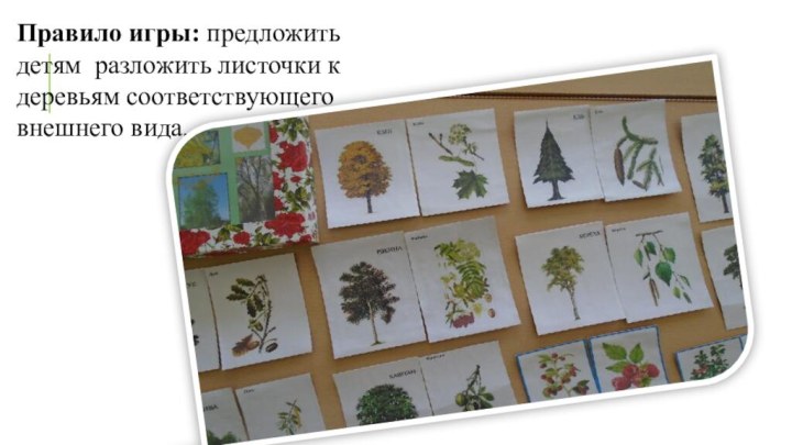 Правило игры: предложить детям  разложить листочки к деревьям соответствующего внешнего вида.