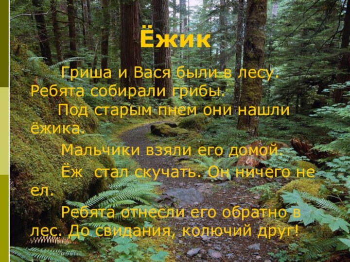 Ёжик    Гриша и Вася были в лесу. Ребята собирали