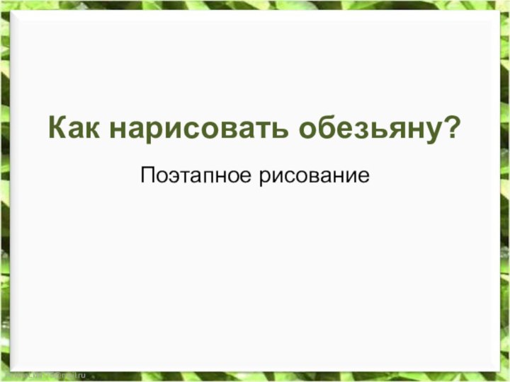 Как нарисовать обезьяну?Поэтапное рисование