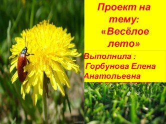 ПРОЕКТ НА ТЕМУ : ВЕСЕЛОЕ ЛЕТО  проект (средняя группа)