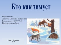 Кто как зимует презентация к уроку по окружающему миру (средняя, старшая группа)