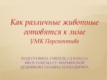 Как различные животные готовятся к зиме УМК Перспектива презентация к уроку по окружающему миру (2 класс) по теме