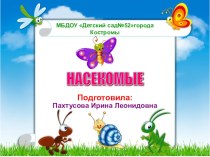 Презентация Насекомые презентация к уроку по окружающему миру (младшая группа) по теме