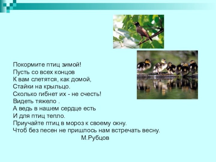 Покормите птиц зимой!Пусть со всех концовК вам слетятся, как домой,Стайки на крыльцо.Сколько