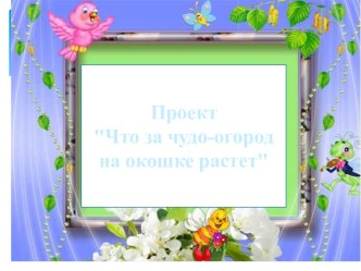 Проект Что за чудо- огород на окошке растет старшая группа. проект по окружающему миру (старшая группа)