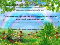 Развивающая предметно - пространственная среда презентация к уроку (младшая группа)