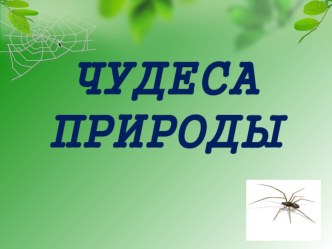 Урок чтения по теме Описание чуда в поэтическом тексте. В.В. Лунин Я видела чудо план-конспект урока по чтению (1 класс) по теме