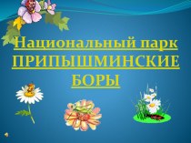 презентация Национальный парк Припышминские боры презентация к уроку по окружающему миру по теме