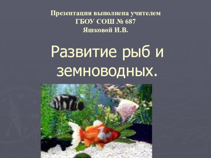 Развитие рыб и земноводных.Презентация выполнена учителем ГБОУ СОШ № 687Яшковой И.В.