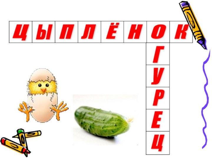 ЦЫПЛЁНОКГУРЕЦ