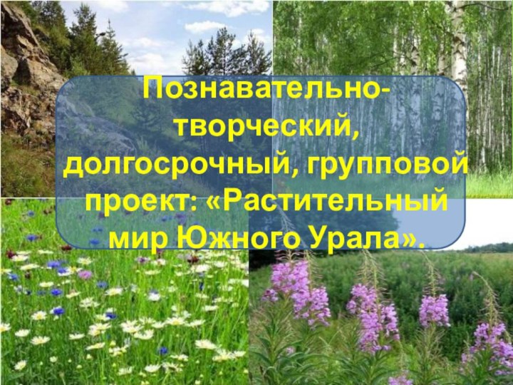 Познавательно-творческий, долгосрочный, групповой проект: «Растительный мир Южного Урала».