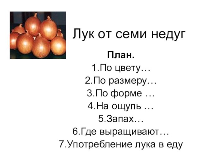 Лук от семи недугПлан.1.По цвету…2.По размеру…3.По форме