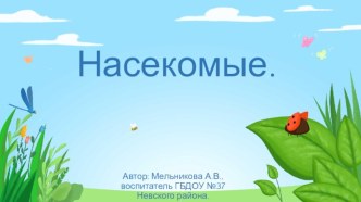 Презентация Насекомые презентация к уроку по окружающему миру (средняя группа)