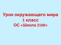 Презентация к уроку окружающего мира в 1 классе презентация к уроку по окружающему миру (1 класс)