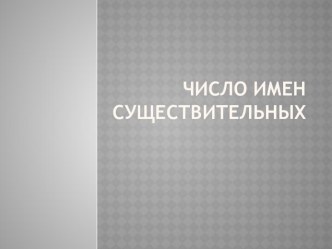 Число имён существительных 4 класс презентация к уроку по русскому языку (4 класс)