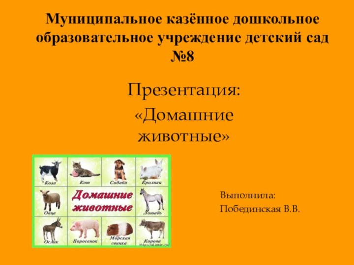 Муниципальное казённое дошкольное образовательное учреждение детский сад №8 Презентация: «Домашние