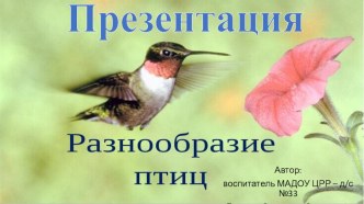 Презентация Разнообразие птиц презентация к уроку по окружающему миру (младшая группа)