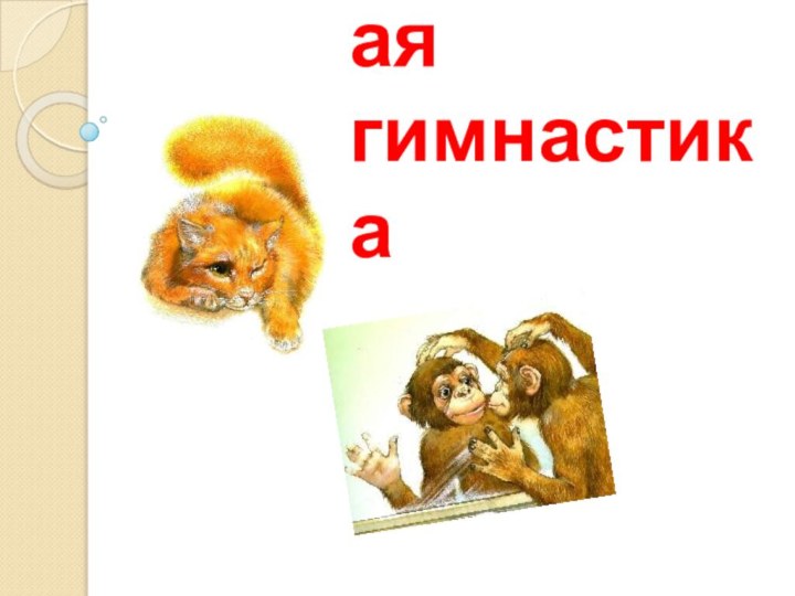 Весёлая  мимическая гимнастика