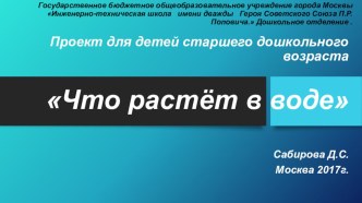 Проект Что растёт в воде презентация к уроку по окружающему миру (подготовительная группа) по теме